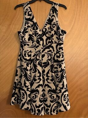 Beige and Black V-Neck Fit & Flare Dress